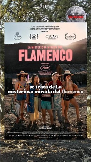 La misteriosa mirada del flamenco 🦩🎥🔥 #cine #chile #cinechileno