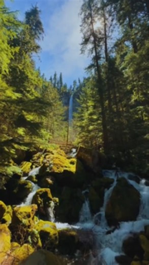 These Oregon waterfalls will completely change your travel plans