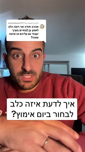 משיב/ה ל-@itayhodhalevi777 איך לדעת איזה כלב לבחור ביום אימוץ? ————— אם אתם רוצים לאלף את הכלב שלכם או להיות מאלפי כלבים או כלבנים טיפוליים בעצמכם שלחו לנו ווצאפ - 0547-595731 שם אנחנו הכי זמינים! #כלבים #האילוףשלבן #בןאביטל #אילוףכלבים #מאלףכלבים