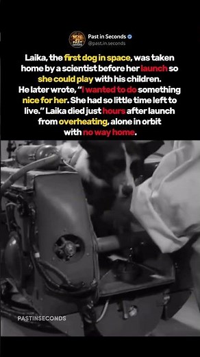 She Became the First Dog in Space—And Never Came Back