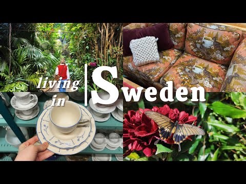A Piece of Summer in the Middle of Winter 🦋❄️| Living in Sweden