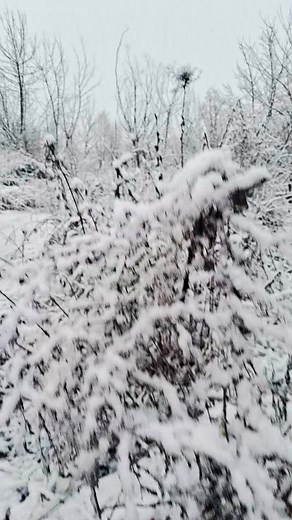 When Winter Wrote My First Snow Story | My life