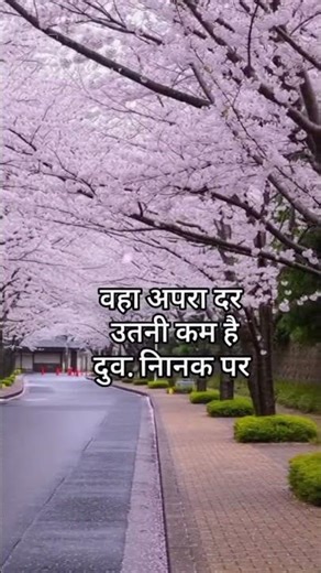 #japan #facts japan's real facts