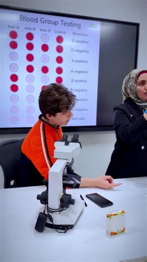 The Basics of Blood Grouping: Understanding Blood Types