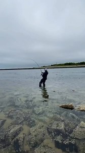 356K views · 2.9K reactions | Massive striper taken at cape cod canal #fishing | Abenz Fishing | Facebook