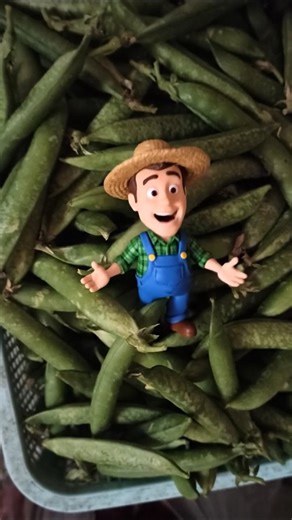 aiml engineering harvesting time #farming #food #memes #facts #budget #jobdescriptions #applyjob