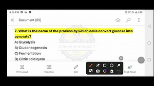 یہ SST Biochemistryکےلئےاہم MCQsہیں۔ Mastering Biomolecules MCQs for SST Biochemistry Preparation Get ready to ace your SST Biochemistry exam with our comprehensive guide to biomolecules MCQs! In this video, we'll cover the most important questions and topics to help you prepare for your exam. From carbohydrates to proteins, lipids to nucleic acids, we'll break it down in a way that's easy to understand. Whether you're a student or a teacher, this video is perfect for anyone looking to improve t