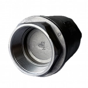 [Hot Item] Industrial Pipe Systems Spring Loaded Check Valve with 200psi Pressure