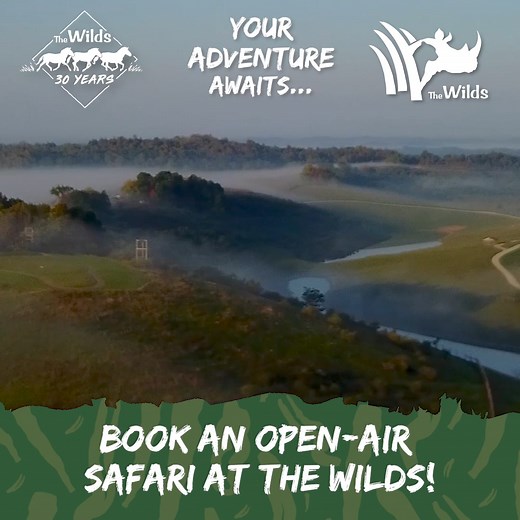 1.2K reactions · 306 shares | Experience the thrill of an open-range safari with us! Visit one of the top 10 BEST safari parks in the United States, where rare and endangered animals from around the globe live. Take a ride through our nearly-10,000-acre park on an immersive adventure that will leave you feeling inspired and amazed! | The Wilds | Facebook
