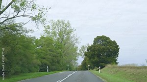Driving with car on the road in a nature 4k green trees