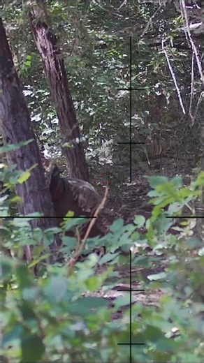 I Missed 3 Times Because of THIS… #airsoft