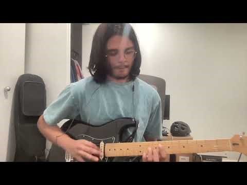 A little snippet of Chameleon