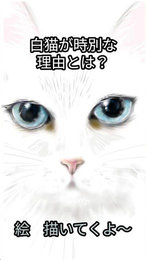 【お絵描き】白猫を描いてく #ibispaint #イラストメイキング