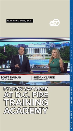 "Pete the Python" found at the Washington, D.C. Fire/EMS training academy. | 7News DC