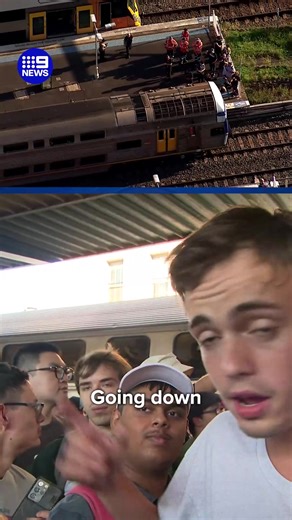 Train enthusiasts young and old have gathered to farewell an icon of Sydney transport, the V-Set trains. #9News | 9 News Sydney