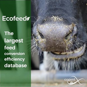 14 reactions | Large and counting... EcoFeed is the LARGEST feed...