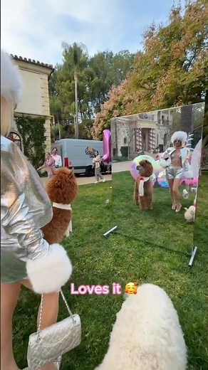 Even the alpacas know to never pass a mirror without looking it 🦙🪞✨ #LovesIt 💖