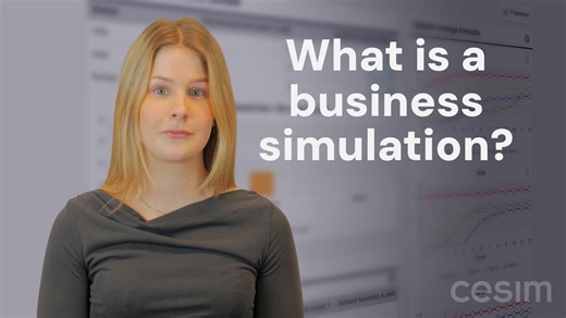 What is a business simulation