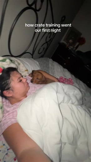 Puppy Crate Training: Our First Night Experience