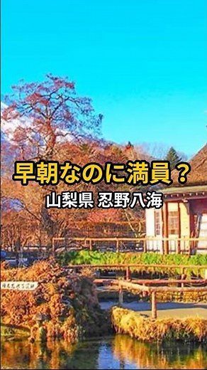 [Very popular even at 7am] Scenic spot with crystal clear water: Oshino Hakkai, Yamanashi Prefect...