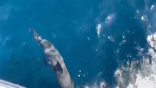 9K views · 128 reactions | Karachi’s coast line ❤️ Starting tomorrow our people can be on the beach & enjoy multiple sea sport activities as well as dolphin viewing | Karachi Karachi Hai | Facebook