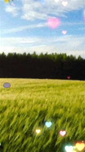 bouncememeclub on TikTok