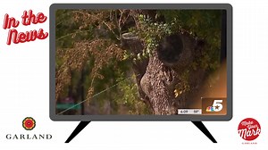 26 reactions | We had an amazing year in Garland full of many accomplishments. Here’s a look back at 2023. Visit Garland, TX Garland TX Arts Garland Parks and Recreation Downtown Garland | City of Garland, Texas Government | Facebook