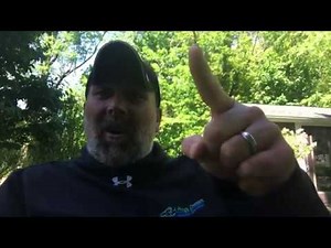 Can I put Turtles in my fish/koi pond or waterfall feature?