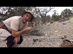 M Cave, Kenny Veach's last video, before he went missing.