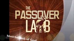 Ted Pearce - Behold the lamb of God, with Lyrics Chords - ChordU