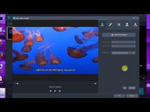 How to Convert Video to 16:9 Widescreen