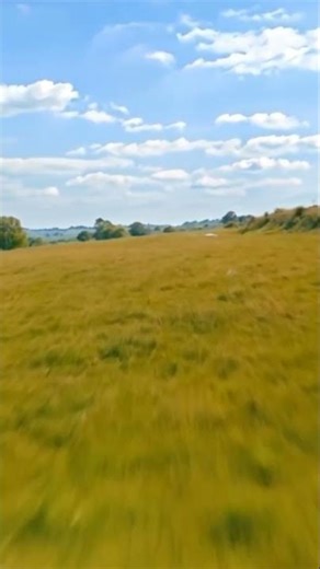 The Meadow (Filterlab Music) - coming soon