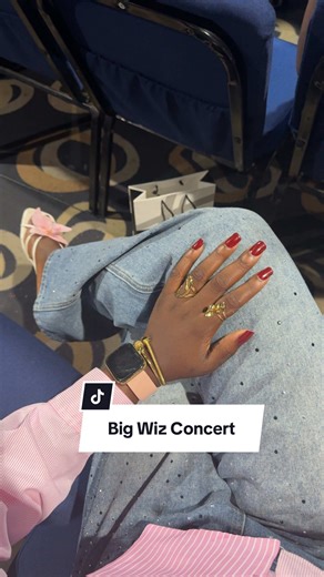 Wizkid Concert Highlights: 2025 Lagos Show Recap