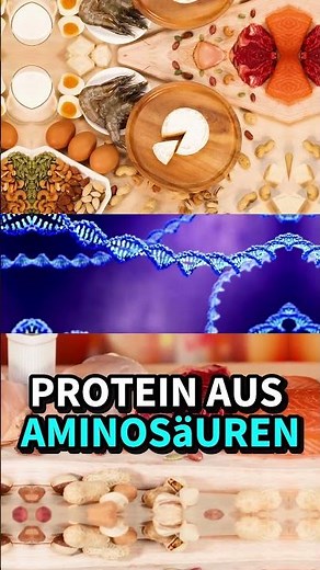 Wasser vs. Protein: Das baut Muskeln WIRKLICH auf