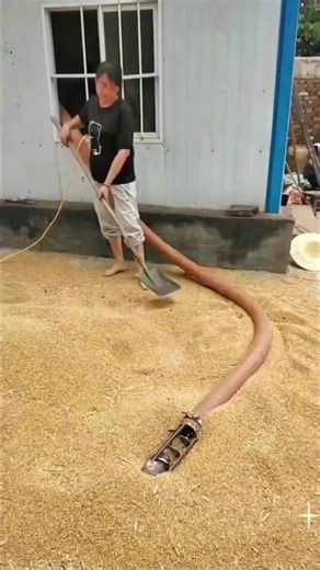 52K views · 128 reactions | Spring screw conveyer machine ☎️+91 91111 56620 | Punjab Engineering Corporation | Facebook