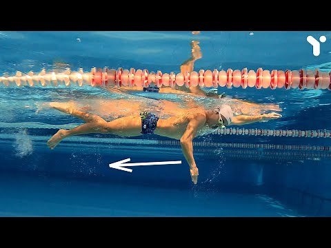 Hướng Dẫn Kỹ Thuật Bơi Sải | Freestyle Swimming Technique