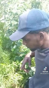 1.1M views · 10K reactions | Yea real thing | Gt Watch Story Hay | Facebook