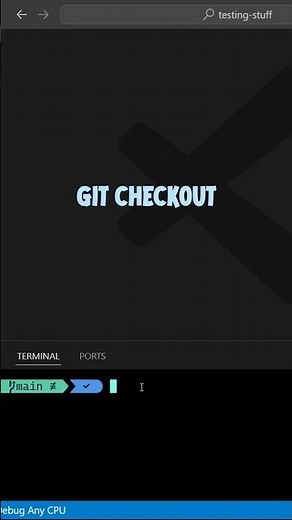 "git checkout" - Switch Branches or View a Specific Commit