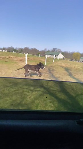Henry Racing into the Weekend at Boggs Funny Farm!