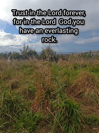 Isaiah 26 : 4 (NRSV) Trust in the Lord forever, for in the Lord God you have an everlasting rock. Praised be Almighty God and our Lord Jesus Christ 🙏 Holy, holy, holy, the Lord God the Almighty, who was and is and is to come 🙏 #heavenlyfather #jesuschrist #holyspirit #wordofgod #fyp