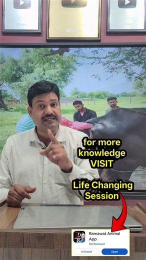Vet life changing Session