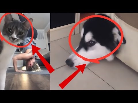 Epic fails compilation #29