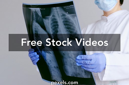 Lungs Videos, Download The BEST Free 4k Stock Video Footage & Lungs HD Video Clips