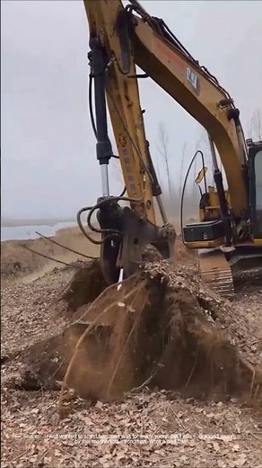 Great power brings miracles: excavator challenges stubborn tree stump