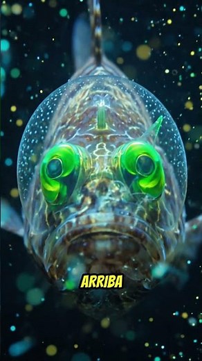 The Transparent-Headed Fish That Looks Like It's From Another Planet #curiosities #science #educa...