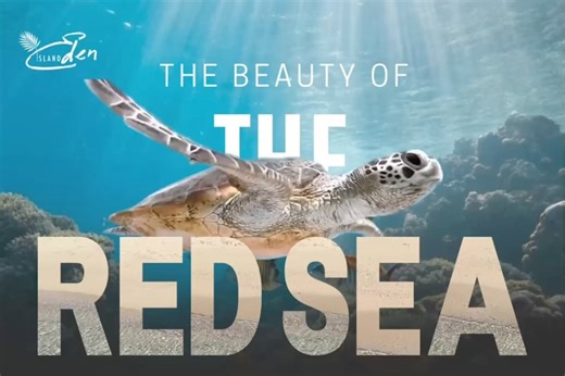 Eden Island on Reels