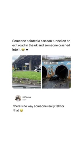 Bro really got Looney Tunes’d in real life 😭💀#memes #viralpost