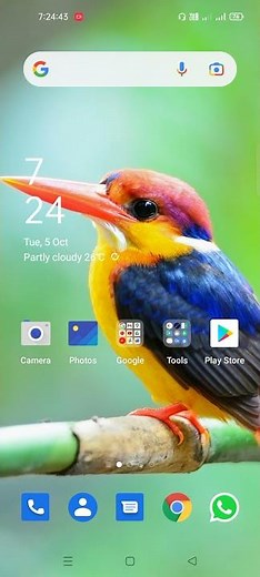 How to enable Developer mode in Android phone 📱