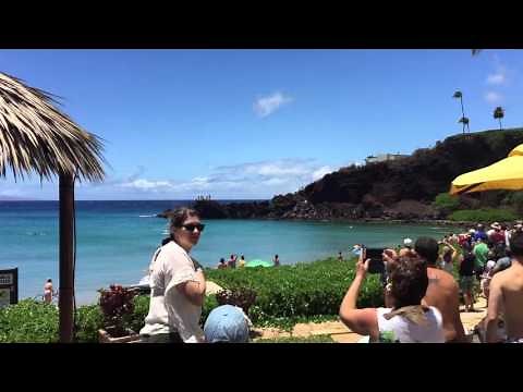 Tiger Shark - Kaanapali Hawaii