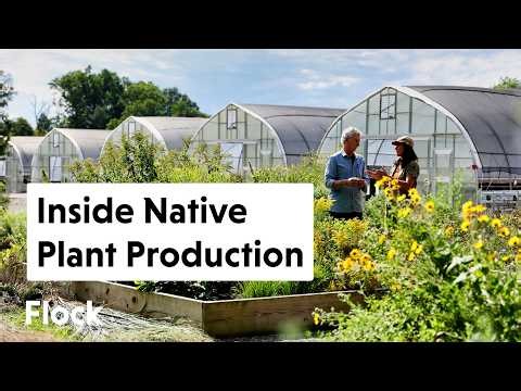 How 500+ NATIVE PLANTS Are Tested, Grown, and Chosen — Ep. 355